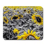 Sunflower Field Girasol Sunflower Large Mousepads Front