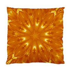 Kaleidoscopic Flower Standard Cushion Case (two Sides)