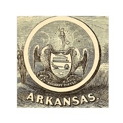 State Seal Of Arkansas, 1853 Small Satin Scarf (square) by abbeyz71