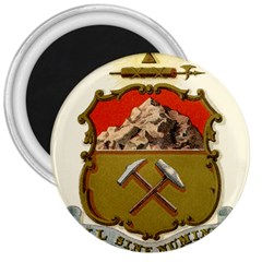 Historical Coat Of Arms Of Colorado 3  Magnets by abbeyz71