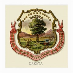 Historical Coat Of Arms Of Dakota Territory Medium Glasses Cloth (2-side) by abbeyz71