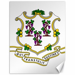 Coat Of Arms Of Connecticut Canvas 18  X 24  by abbeyz71