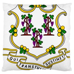 Coat of Arms of Connecticut Large Cushion Case (Two Sides)