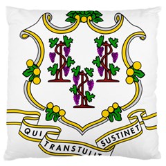 Coat Of Arms Of Connecticut Large Flano Cushion Case (one Side) by abbeyz71