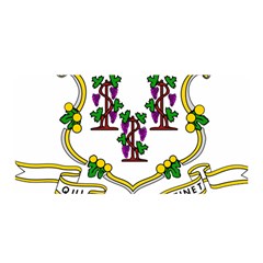 Coat of Arms of Connecticut Satin Wrap