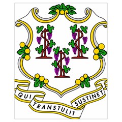 Coat of Arms of Connecticut Drawstring Bag (Small)