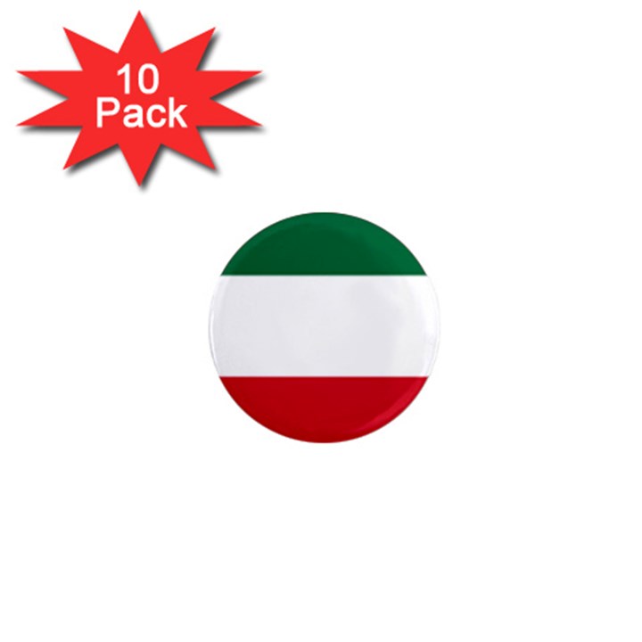 Patriote Flag 1  Mini Magnet (10 pack) 