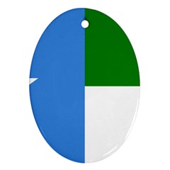 Flag Of West Puntland Ornament (oval) by abbeyz71