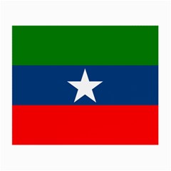 Flag Of Ogaden National Liberation Front Small Glasses Cloth