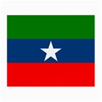 Flag of Ogaden National Liberation Front Small Glasses Cloth Front