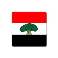 Flag Of Oromia Region Square Magnet by abbeyz71