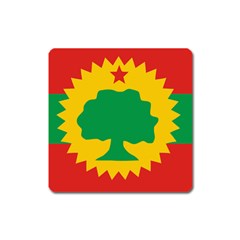 Flag Of Oromo Liberation Front Square Magnet by abbeyz71