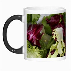 Salad Lettuce Vegetable Morph Mugs