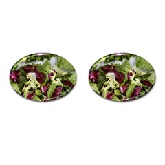 Salad Lettuce Vegetable Cufflinks (Oval)