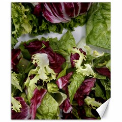 Salad Lettuce Vegetable Canvas 20  x 24 