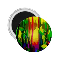 Abstract Vibrant Colour Botany 2 25  Magnets