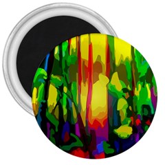 Abstract Vibrant Colour Botany 3  Magnets