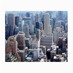 Manhattan New York City Small Glasses Cloth