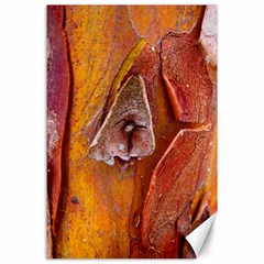 Bark Tree Texture Wood Trunk Canvas 24  X 36  by Sapixe