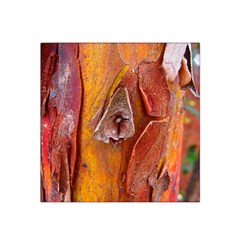 Bark Tree Texture Wood Trunk Satin Bandana Scarf