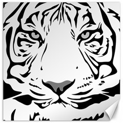 Tiger Black Ans White Canvas 20  X 20  by alllovelyideas