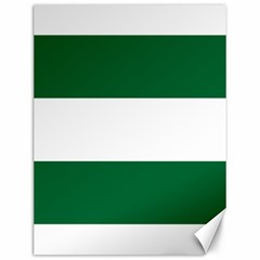 Flag of Andalusia Canvas 12  x 16 