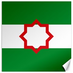 Nationalist Andalusian Flag Canvas 20  X 20  by abbeyz71
