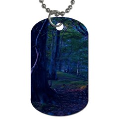 Beeches Tree Forest Beech Shadows Dog Tag (one Side) by Sapixe