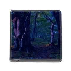 Beeches Tree Forest Beech Shadows Memory Card Reader (square 5 Slot) by Sapixe