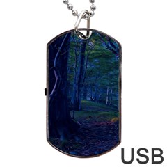 Beeches Tree Forest Beech Shadows Dog Tag Usb Flash (two Sides) by Sapixe