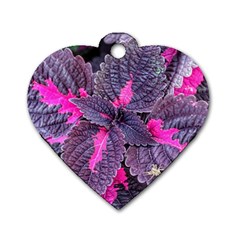 Beefsteak Plant Perilla Frutescens Dog Tag Heart (one Side) by Sapixe