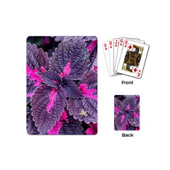 Beefsteak Plant Perilla Frutescens Playing Cards (mini)