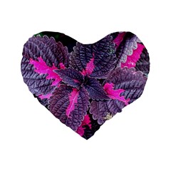 Beefsteak Plant Perilla Frutescens Standard 16  Premium Heart Shape Cushions by Sapixe