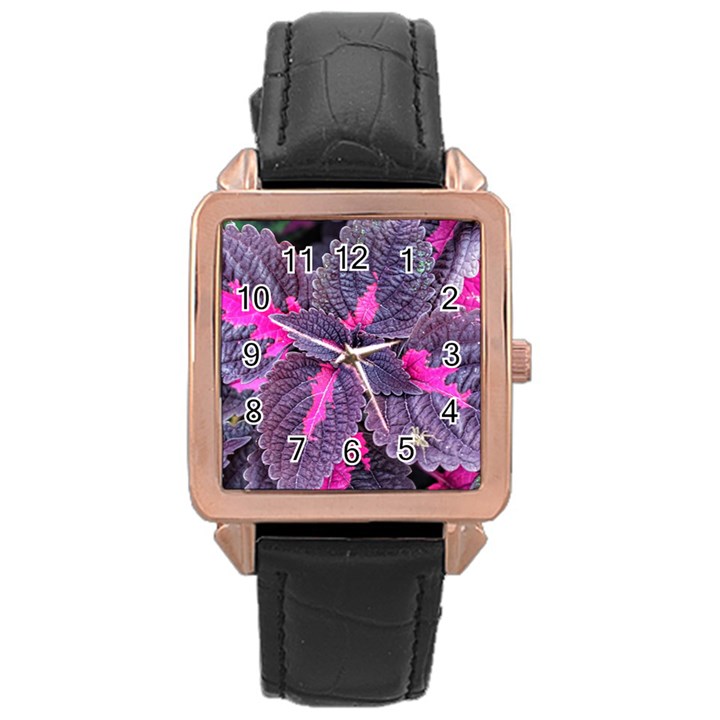 Beefsteak Plant Perilla Frutescens Rose Gold Leather Watch 