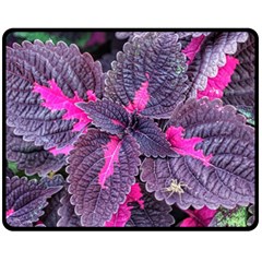 Beefsteak Plant Perilla Frutescens Double Sided Fleece Blanket (medium)  by Sapixe