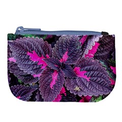 Beefsteak Plant Perilla Frutescens Large Coin Purse by Sapixe