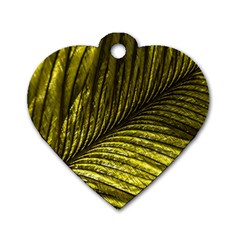 Feather Macro Bird Plumage Nature Dog Tag Heart (two Sides) by Sapixe