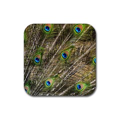 Peacock Feathers Color Plumage Green Rubber Coaster (square) 
