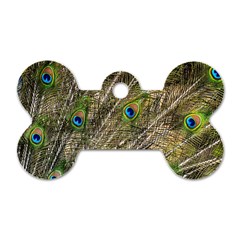 Peacock Feathers Color Plumage Green Dog Tag Bone (one Side) by Sapixe