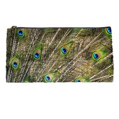 Peacock Feathers Color Plumage Green Pencil Cases