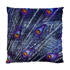 Peacock Feathers Color Plumage Blue Standard Cushion Case (two Sides) by Sapixe