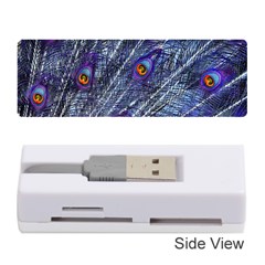 Peacock Feathers Color Plumage Blue Memory Card Reader (stick) by Sapixe