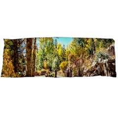 Landscape # 2 The Path Body Pillow Case (dakimakura) by ArtworkByPatrick