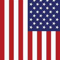 Us Flag Stars And Stripes Maga Canvas 20  X 20  by snek