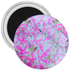 Hot Pink And White Peppermint Twist Flower Petals 3  Magnets