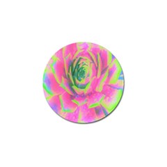 Lime Green And Pink Succulent Sedum Rosette Golf Ball Marker (4 Pack) by myrubiogarden