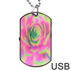 Lime Green And Pink Succulent Sedum Rosette Dog Tag Usb Flash (one Side) by myrubiogarden