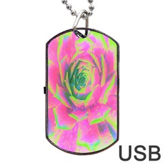 Lime Green And Pink Succulent Sedum Rosette Dog Tag Usb Flash (two Sides) by myrubiogarden