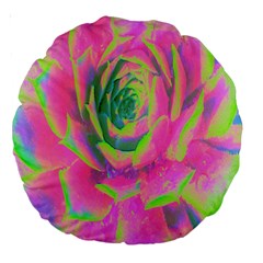 Lime Green And Pink Succulent Sedum Rosette Large 18  Premium Round Cushions by myrubiogarden