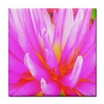 Fiery Hot Pink And Yellow Cactus Dahlia Flower Tile Coasters Front